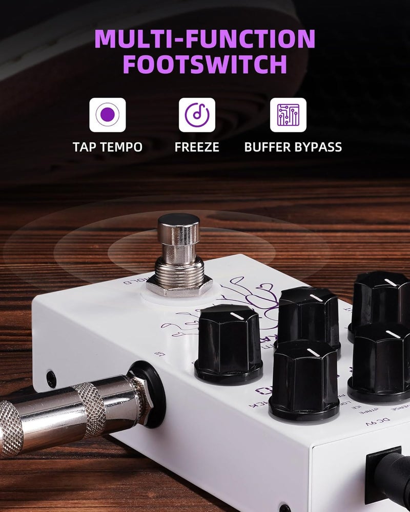 LEKATO Delay Digital Guitar Effect Pedal with Tape Temps, LoFi, dTAP, Reverse Delay Pedal with Hardware Bypass for Electric Guitar (EP-04) - Image 4